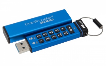 USB Flash Kingston DT2000 16 ГБ